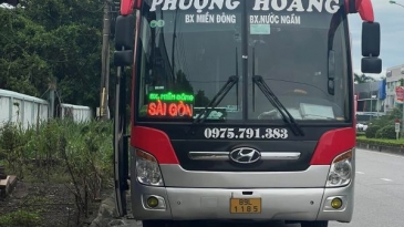 Top nhà xe từ Quảng Bình đi Quảng Nam: Chất lượng, uy tín hàng đầu