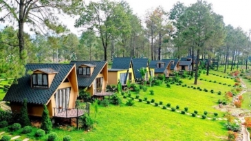 Trải Nghiệm Phượt Pleiku Đặc Sắc Cùng Homestay Ấm Cúng