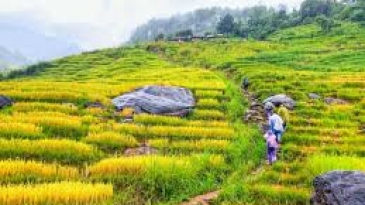 Trekking Kon Tum: Khám Phá Đại Ngàn, Chinh Phục Thử Thách