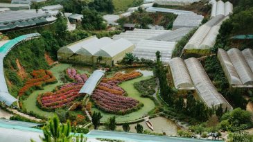 Vườn Hồng Đà Lạt: Chốn Mộng Mơ, Góc Chụp Ảnh Lãng Mạn Tuyệt Vời