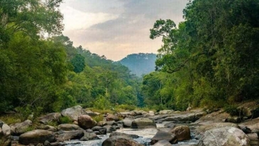 Vườn Quốc gia Chư Yang Sin: Khám phá vẻ đẹp thiên nhiên Tây Nguyên