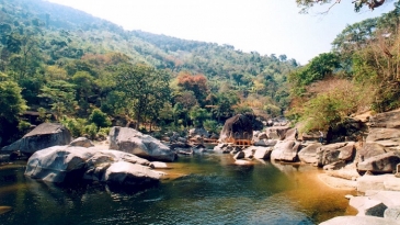 Vườn Quốc gia Yok Đôn: Thiên đường hoang dã và đa dạng sinh học