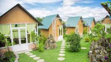 Windy Hill Homestay & Coffee: Thư thái ngắm đồi thông siêu chill