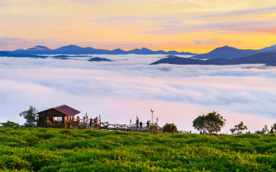 5 Điều Bạn Nhất Định Phải Thử Khi Đến Tây Nguyên