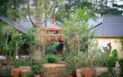 Alba-ra homestay Măng Đen - Chốn mộng mơ, bình yên vô tận 