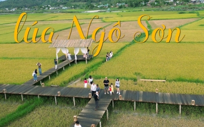Cafe Lúa Ngô Sơn Gia Lai: Đậm đà hương vị núi rừng Tây Nguyên