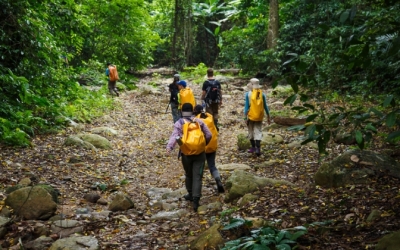 Chinh phục Trekking Vườn Quốc gia Kon Ka Kinh - Kỳ vĩ núi rừng Tây Nguyên