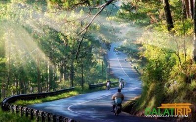 Combo Đà Lạt 2026: Vé máy bay + Khách sạn 3 sao giá ưu đãi
