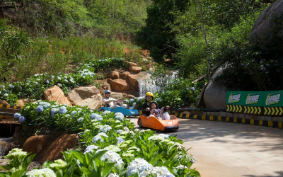 Đánh giá Cao Nguyên Hoa Đà Lạt 2026: Trải nghiệm và Giá vé