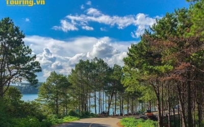 Dạo bước Rừng thông Biển Hồ: Không gian xanh mát, bình yên vĩnh cửu