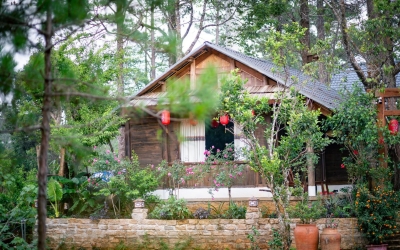 Đi Măng Đen nên ở đâu? Top 5 homestay và resort đẹp nhất 2026