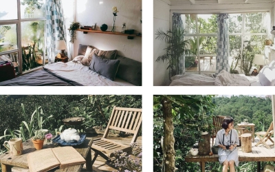 Đợi Một Người Homestay: Nơi an yên giữa bạt ngàn rừng thông.