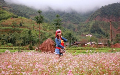 Du lịch Hà Giang- Điểm đến dành cho bạn