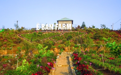 Ê Ban Farm Măng Đen - Địa điểm du lịch hấp dẫn không thể bỏ qua