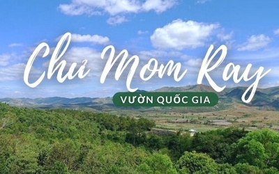 Giá vé mới nhất các điểm du lịch Kon Tum: Cập nhật chi phí tham quan