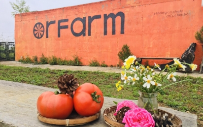 [Giải đáp] Orfarm Măng Đen có gì vui? 