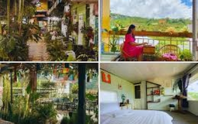 Gió Homestay Đà Lạt Review: Trải nghiệm tuyệt vời cho nhóm bạn.