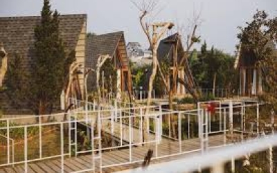 In The Pines: Homestay rừng thông, chốn riêng cho người yêu thiên nhiên