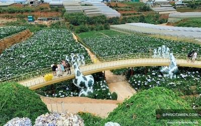 Khám phá 2 cầu vàng Đà Lạt view đẹp nhất 2026 không thể bỏ lỡ