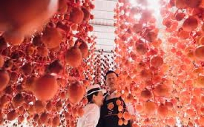 Khám phá 5 vườn hồng Đà Lạt đẹp mê hồn, tham quan miễn phí