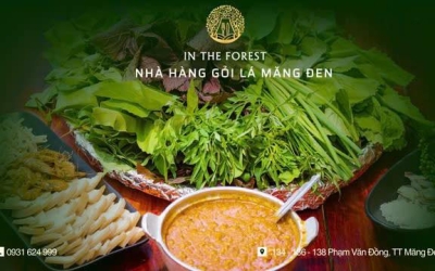 Khám phá Rừng Măng Đen: Hành trình vào lòng thiên nhiên hoang dã.