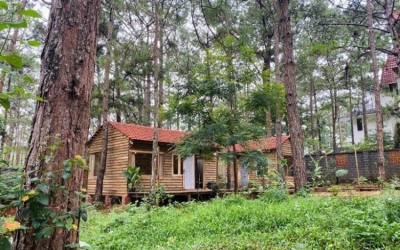 Khám Phá Thiên Hương Homestay Măng Đen - Chốn An Yên Giữa Rừng Thông