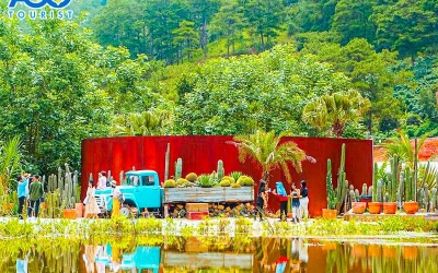 Kombi Land Đà Lạt: Vườn xương rồng lớn nhất, trải nghiệm độc đáo