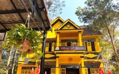 Măng Đỏ Quán Măng Đen: Khám phá hương vị núi rừng đặc trưng