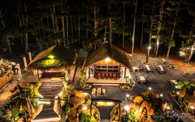 Mộc House Măng Đen: Ngôi Nhà Gỗ Ấm Áp Giữa Rừng Thông Xanh Mướt