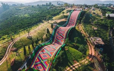 Mongo Land Đà Lạt 2026: Đánh giá chi tiết & Cập nhật giá vé