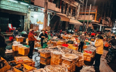 Review ẩm thực Gia Lai: Hành trình khám phá hương vị độc đáo