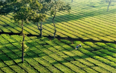 Tây Nguyên có gì đẹp hơn Tây Bắc?