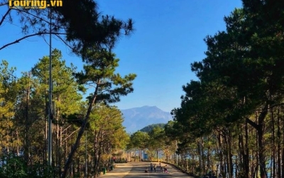 Thuê Xe Tự Lái Đi Biển Hồ Pleiku Giá Rẻ, Đa Dạng Mẫu Xe