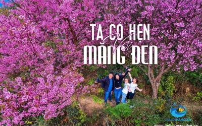 Tips chụp ảnh mùa hoa sim tím ở Măng Đen