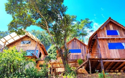 Tổ Chim Ri Măng Đen - Trải Nghiệm Homestay Độc Đáo Giữa Rừng Thông Xanh