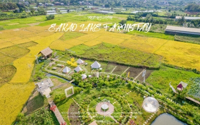 Trải nghiệm Nông trại sinh thái xanh mát bên hồ Ea Kao tuyệt đẹp