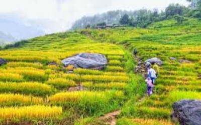 Trekking Kon Tum: Khám Phá Đại Ngàn, Chinh Phục Thử Thách