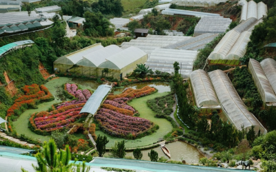 Vườn Hồng Đà Lạt: Chốn Mộng Mơ, Góc Chụp Ảnh Lãng Mạn Tuyệt Vời