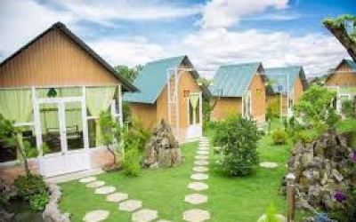 Windy Hill Homestay & Coffee: Thư thái ngắm đồi thông siêu chill