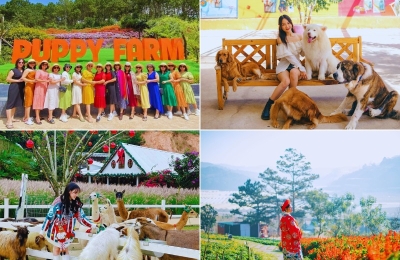 Chương trình Tour Đà Lạt 2 ngày 2 đêm