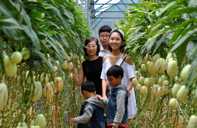 Tour du lịch Đà Lạt 1 ngày giá rẻ