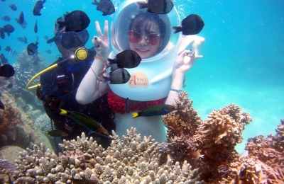 Tour 3 Đảo VIP Nha Trang - Hòn Tằm