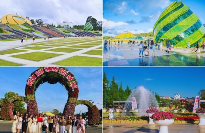 Tour Bến Tre Đà Lạt 3 ngày 2 đêm