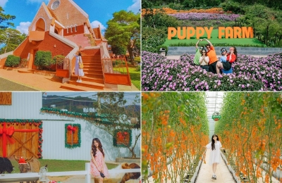 Tour Bình Dương Đà Lạt 3 ngày 2 đêm