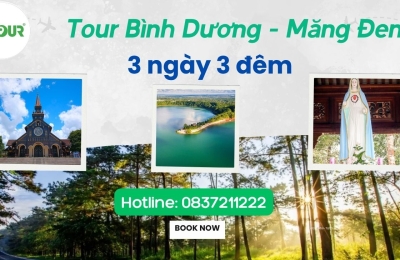 Tour Bình Dương Măng Đen 3 ngày 3 đêm