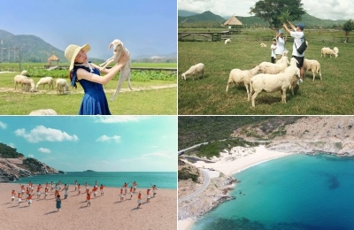 Tour Bình Dương Ninh Thuận 3 ngày 3 đêm