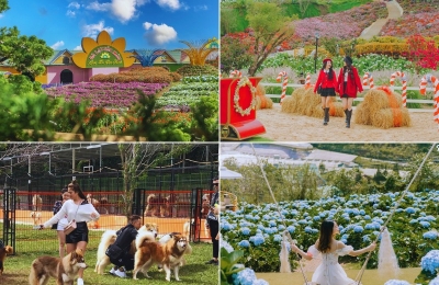 Tour Bình Phước Đà Lạt 3 ngày 2 đêm