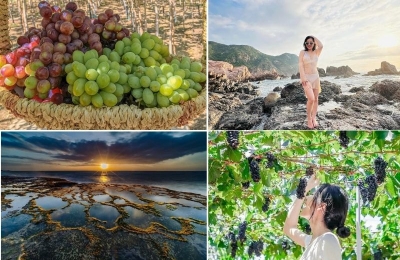 Tour Bình Phước Ninh Thuận 3 ngày 3 đêm