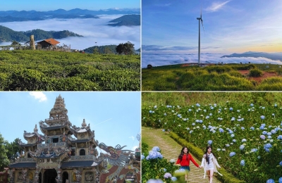 Tour Cà Mau Đà Lạt 3 ngày 2 đêm