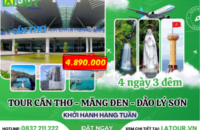 Tour Cần Thơ - Măng Đen - Đảo Lý Sơn 4 Ngày 3 Đêm